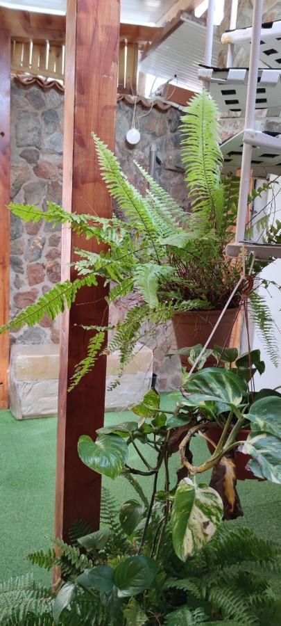 Ferienwohnung Casa El Drago-Tafira Baja Las Palmas / Gran Canaria Exterior foto