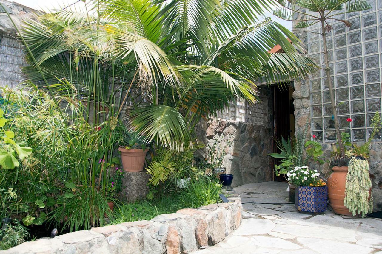 Ferienwohnung Casa El Drago-Tafira Baja Las Palmas / Gran Canaria Exterior foto